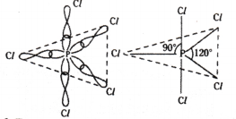 Chemical Bonding and Molecular Structure Questions and Answers AP Inter 1st Year Chemistry Chapter 4 13
