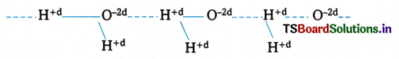 Chemical Bonding and Molecular Structure Questions and Answers AP Inter 1st Year Chemistry Chapter 4 16