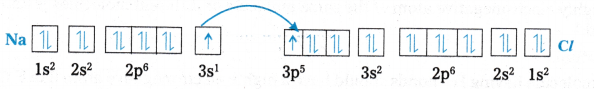 Chemical Bonding and Molecular Structure Questions and Answers AP Inter 1st Year Chemistry Chapter 4 17