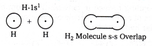 Chemical Bonding and Molecular Structure Questions and Answers AP Inter 1st Year Chemistry Chapter 4 19