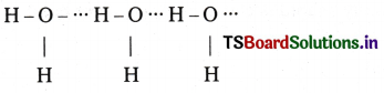 Chemical Bonding and Molecular Structure Questions and Answers AP Inter 1st Year Chemistry Chapter 4 2