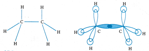Chemical Bonding and Molecular Structure Questions and Answers AP Inter 1st Year Chemistry Chapter 4 24