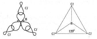 Chemical Bonding and Molecular Structure Questions and Answers AP Inter 1st Year Chemistry Chapter 4 25