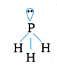 Chemical Bonding and Molecular Structure Questions and Answers AP Inter 1st Year Chemistry Chapter 4 33