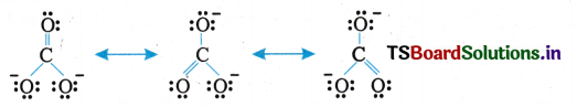 Chemical Bonding and Molecular Structure Questions and Answers AP Inter 1st Year Chemistry Chapter 4 34