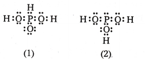 Chemical Bonding and Molecular Structure Questions and Answers AP Inter 1st Year Chemistry Chapter 4 35