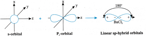 Chemical Bonding and Molecular Structure Questions and Answers AP Inter 1st Year Chemistry Chapter 4 44
