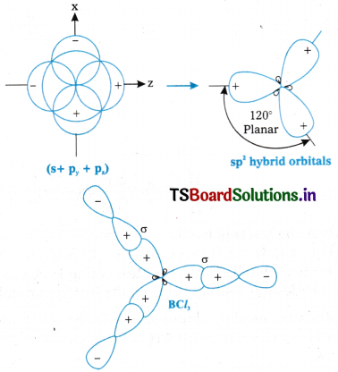 Chemical Bonding and Molecular Structure Questions and Answers AP Inter 1st Year Chemistry Chapter 4 45