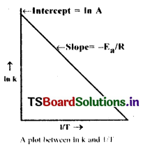 Chemical Kinetics Questions and Answers AP Inter 2nd Year Chemistry Chapter 3 13