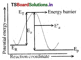 Chemical Kinetics Questions and Answers AP Inter 2nd Year Chemistry Chapter 3 16
