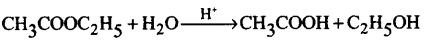 Chemical Kinetics Questions and Answers AP Inter 2nd Year Chemistry Chapter 3 5