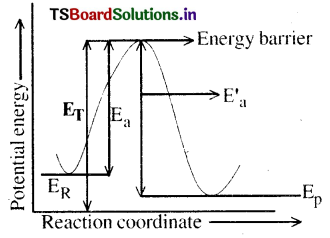 Chemical Kinetics Questions and Answers AP Inter 2nd Year Chemistry Chapter 3 6