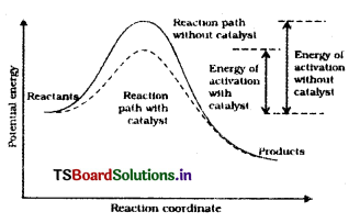 Chemical Kinetics Questions and Answers AP Inter 2nd Year Chemistry Chapter 3 7