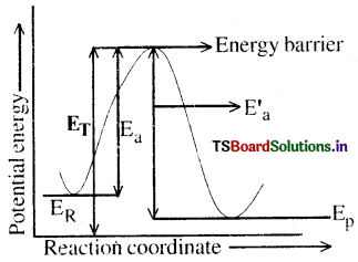 Chemical Kinetics Questions and Answers AP Inter 2nd Year Chemistry Chapter 3 8