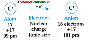 Classification of Elements and Periodicity in Properties Questions and Answers AP Inter 1st Year Chemistry Chapter 3 3