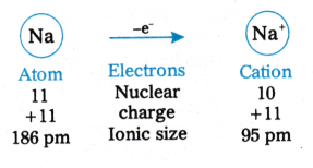 Classification of Elements and Periodicity in Properties Questions and Answers AP Inter 1st Year Chemistry Chapter 3 4