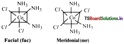 Coordination Compounds Questions and Answers AP Inter 2nd Year Chemistry Chapter 5 3