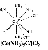Coordination Compounds Questions and Answers AP Inter 2nd Year Chemistry Chapter 5 5