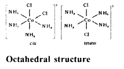 Coordination Compounds Questions and Answers AP Inter 2nd Year Chemistry Chapter 5 7