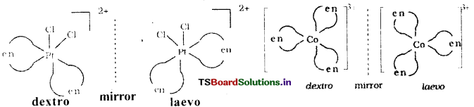 Coordination Compounds Questions and Answers AP Inter 2nd Year Chemistry Chapter 5 9