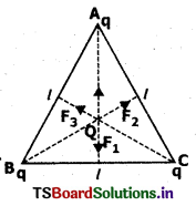Electric Charges and Fields Questions and Answers AP Inter 2nd Year Physics Chapter 1 16