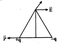 Electric Charges and Fields Questions and Answers AP Inter 2nd Year Physics Chapter 1 19