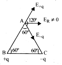 Electric Charges and Fields Questions and Answers AP Inter 2nd Year Physics Chapter 1 5