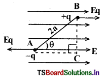 Electric Charges and Fields Questions and Answers AP Inter 2nd Year Physics Chapter 1 8