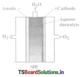 Electrochemistry Questions and Answers AP Inter 2nd Year Chemistry Chapter 2 10