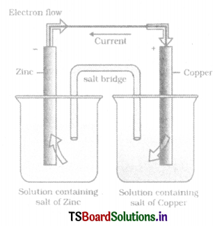 Electrochemistry Questions and Answers AP Inter 2nd Year Chemistry Chapter 2 11