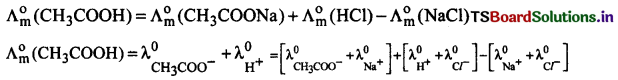 Electrochemistry Questions and Answers AP Inter 2nd Year Chemistry Chapter 2 17