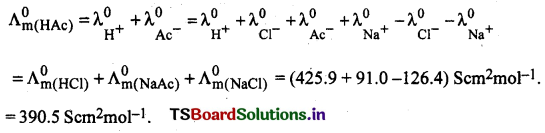Electrochemistry Questions and Answers AP Inter 2nd Year Chemistry Chapter 2 19
