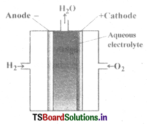 Electrochemistry Questions and Answers AP Inter 2nd Year Chemistry Chapter 2 7