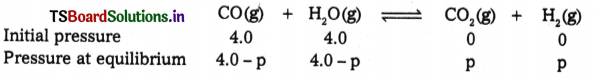 Equilibrium Questions and Answers AP Inter 1st Year Chemistry Chapter 6 14