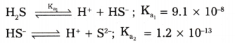 Equilibrium Questions and Answers AP Inter 1st Year Chemistry Chapter 6 17