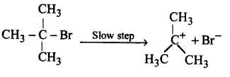 Haloalkanes and Haloarenes Questions and Answers AP Inter 2nd Year Chemistry Chapter 6 12