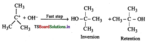 Haloalkanes and Haloarenes Questions and Answers AP Inter 2nd Year Chemistry Chapter 6 13