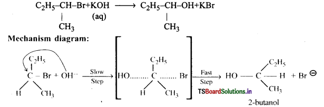 Haloalkanes and Haloarenes Questions and Answers AP Inter 2nd Year Chemistry Chapter 6 23