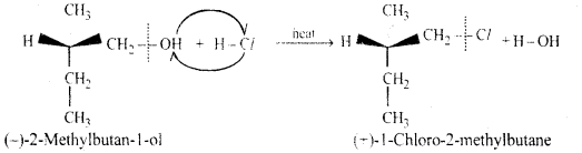Haloalkanes and Haloarenes Questions and Answers AP Inter 2nd Year Chemistry Chapter 6 25