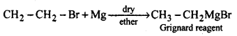 Haloalkanes and Haloarenes Questions and Answers AP Inter 2nd Year Chemistry Chapter 6 26