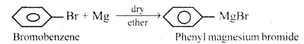 Haloalkanes and Haloarenes Questions and Answers AP Inter 2nd Year Chemistry Chapter 6 27