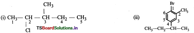 Haloalkanes and Haloarenes Questions and Answers AP Inter 2nd Year Chemistry Chapter 6 4