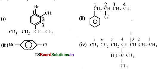 Haloalkanes and Haloarenes Questions and Answers AP Inter 2nd Year Chemistry Chapter 6 8
