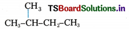 Hydrocarbons Questions and Answers AP Inter 1st Year Chemistry Chapter 9 101