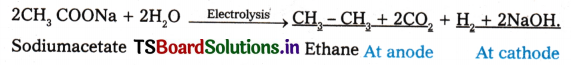 Hydrocarbons Questions and Answers AP Inter 1st Year Chemistry Chapter 9 24
