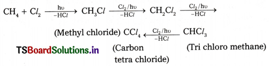 Hydrocarbons Questions and Answers AP Inter 1st Year Chemistry Chapter 9 25