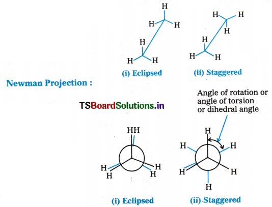 Hydrocarbons Questions and Answers AP Inter 1st Year Chemistry Chapter 9 51