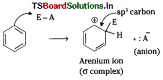 Hydrocarbons Questions and Answers AP Inter 1st Year Chemistry Chapter 9 63
