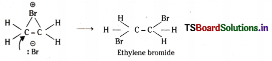 Hydrocarbons Questions and Answers AP Inter 1st Year Chemistry Chapter 9 67