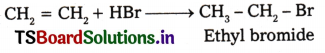 Hydrocarbons Questions and Answers AP Inter 1st Year Chemistry Chapter 9 8